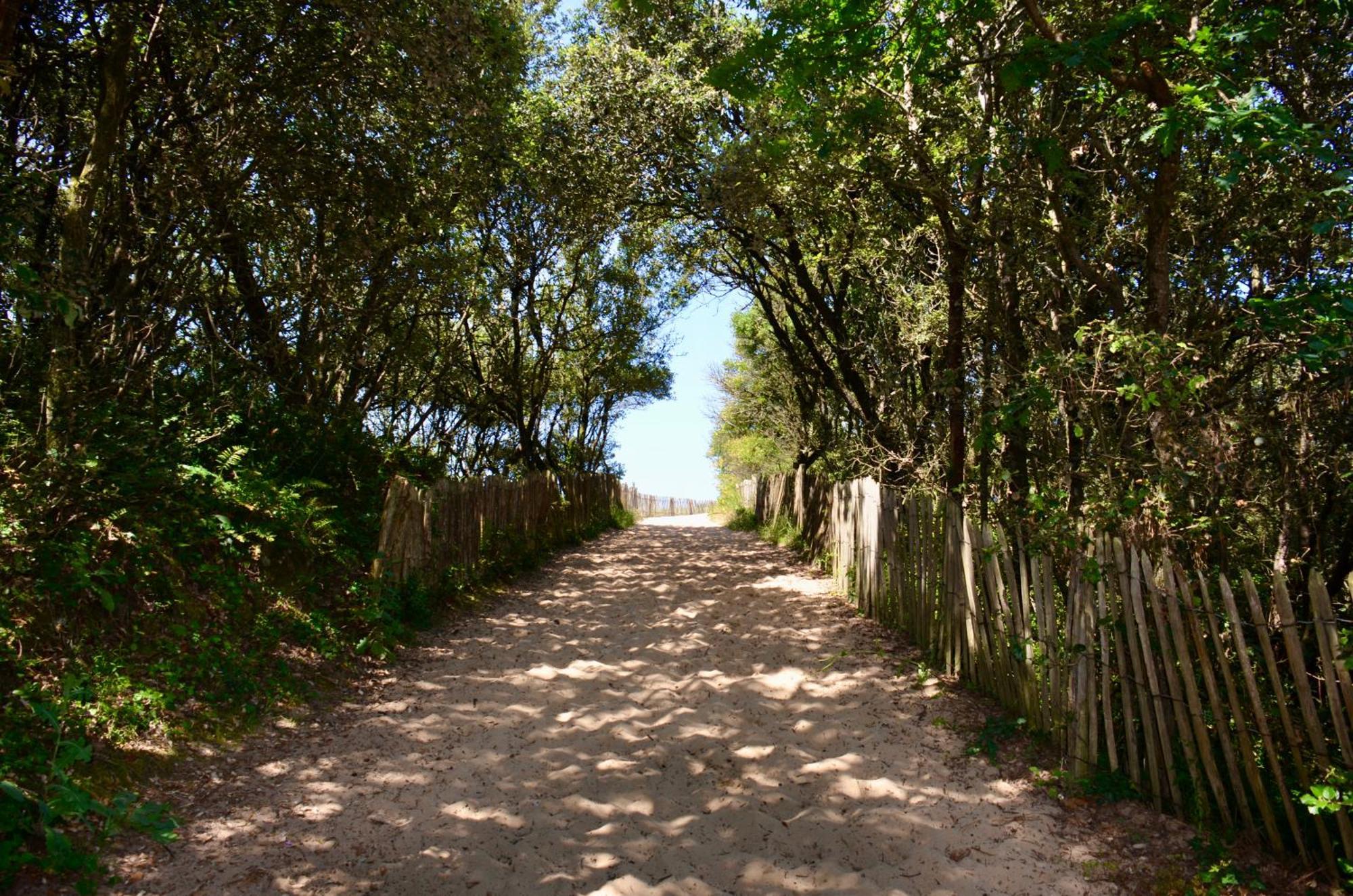 Camping Le Clos Des Pins Лонжвіль-сюр-Мер Екстер'єр фото